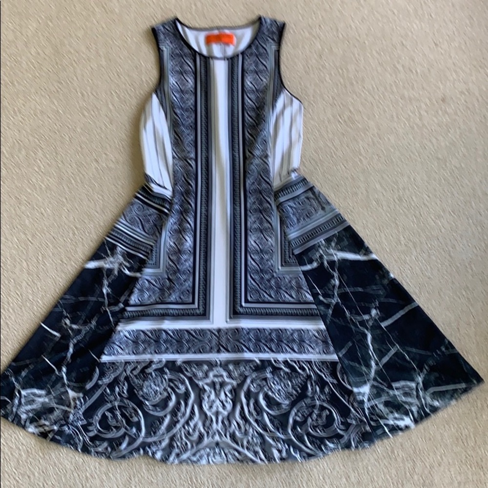 Clover Canyon Fit and Flare dress